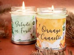 Bougie Balade En Forêt 150g - Encens Naturel pour Méditation et Relaxation -CHIN MUDRA Soldes bougie balade en foret 1669277573637f27857221d