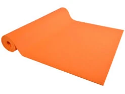 Coffret Kit Yoga Enfants Delphinius - Ensemble Complet pour Initier les Enfants au Yoga -CHIN MUDRA Soldes coffret enfants 1699956950655348d6da028