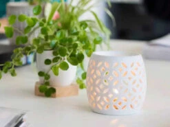 Diffuseur Porcelaine Photophore Luciole 8,8 x 8,6 cm - Encens et Méditation 8 Diffuseur Porcelaine Photophore Luciole 8,8 x 8,6 cm - Encens et Méditation -CHIN MUDRA Soldes diffuseur porcelaine photophore luciole 1700563740655c8b1cc34e3