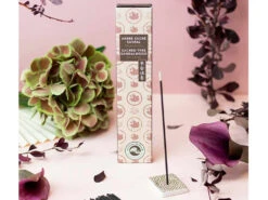 Karin Arbre Sacré Santal 40 Batonnets - Encens Naturel pour Méditation et Relaxation -CHIN MUDRA Soldes karin arbre sacre santal 1669304257637f8fc1c14af