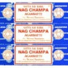 Nag Champa 40gr X 12 Boites - Encens Naturel pour Méditation et Relaxation 3 Nag Champa 40gr X 12 Boites - Encens Naturel pour Méditation et Relaxation -CHIN MUDRA Soldes nag champa 16971845236528fb0b7ad1f