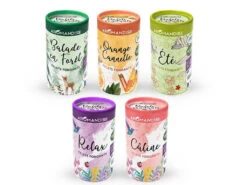 Palets Fondants Balade En Forêt 6 Palets - Encens Naturel pour Méditation et Relaxation -CHIN MUDRA Soldes palets fondants balade en foret 16710224746399c78ae2a20