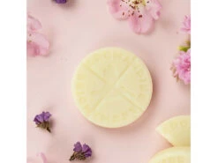 Palets Fondants Câline 6 Palets - Encens Naturel pour Méditation et Relaxation -CHIN MUDRA Soldes palets fondants caline 16710209336399c1850e8a4