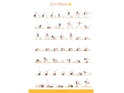 Poster Roue de Yoga 60cm x 42cm - Accessoire de Yoga Essentiel