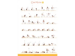 Roue de Yoga Tri-Wheel Prune/Noir - Accessoire Yoga L38cm x L13cm x H20cm -CHIN MUDRA Soldes roue yoga tri wheel prune noir 169097945564ca4c7f52357