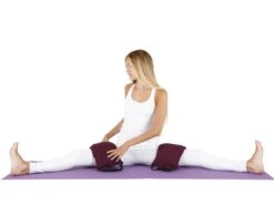 Sac De Sable Sandbag 100% Coton Bio pour Yoga - Bleu, Livré Sans Sable -CHIN MUDRA Soldes sac de sable sandbag 100 coton bio livre sans sable 5b8dc955a7fc8