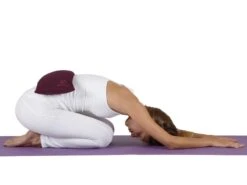 Sac De Sable Sandbag 100% Coton Bio pour Yoga - Bleu, Livré Sans Sable -CHIN MUDRA Soldes sac de sable sandbag 100 coton bio livre sans sable 5b8dc9569d407