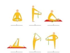 Sangle de Yoga Iyengar 100% Coton Bio 3cm x 200cm | Accessoire Yoga Écologique -CHIN MUDRA Soldes sangle de yoga iyengar 100 coton bio 3cm x 200cm 5b8dc8e4f38d6