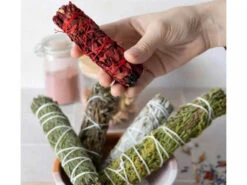 Tresse De Cèdre 15cm - Encens Naturel pour Méditation et Relaxation 5 Tresse De Cèdre 15cm - Encens Naturel pour Méditation et Relaxation -CHIN MUDRA Soldes tresse de cedre 1700574010655cb33a9522e