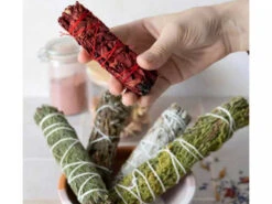 Tresse De Sauge Sang - Dragon 10cm | Encens Naturel pour Méditation | Purification Spirituelle -CHIN MUDRA Soldes tresse de sauge sang dragon 1700573583655cb18fc9442