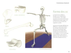 Yoga Anatomie Les Muscles - Guide Complet des Muscles en Yoga | Livre en Français -CHIN MUDRA Soldes yoga anatomie 15827926235e577fafa3ef5