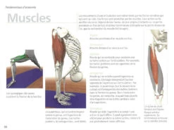 Yoga Anatomie Les Muscles - Guide Complet des Muscles en Yoga | Livre en Français -CHIN MUDRA Soldes yoga anatomie 15827926365e577fbca240d