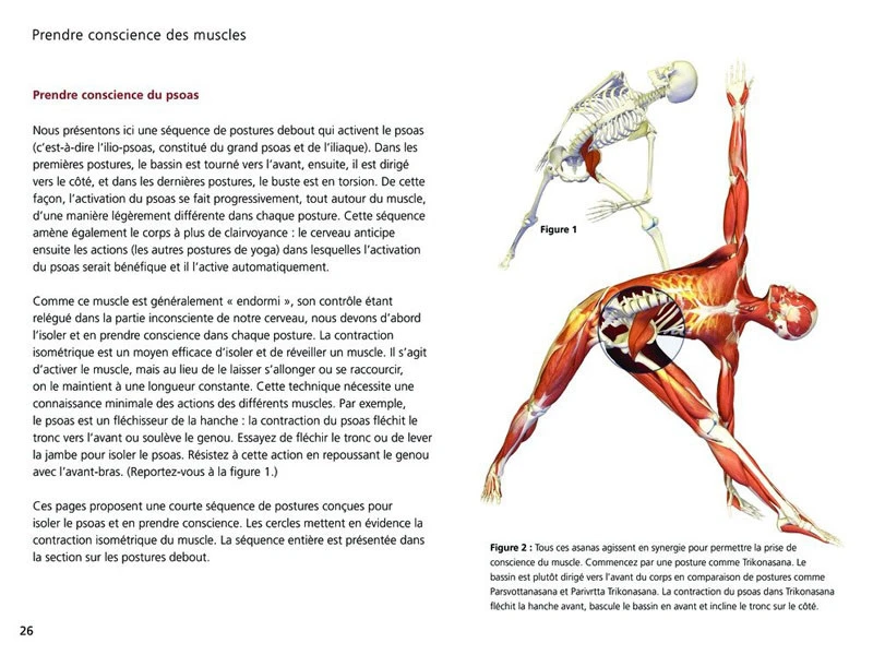 Yoga Anatomie Les Postures - Guide Complet des Asanas en Français 4 Yoga Anatomie Les Postures - Guide Complet des Asanas en Français – Image 4