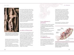 Yoga Perfectionnement par Docteur Ronald Steiner et Anna Trökes - Livre de Yoga en Français -CHIN MUDRA Soldes yoga perfectionnement 15827314015e569089916dd