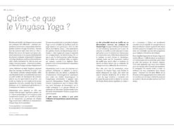 Yoga Vinyasa - L'éloge Du Souffle par Amélie Annoni et Alex Blake | Livre de Yoga en Français -CHIN MUDRA Soldes yoga vinyasa leloge du souffle 1664892649633c3ee908908