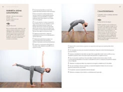 Yoga Vinyasa - L'éloge Du Souffle par Amélie Annoni et Alex Blake | Livre de Yoga en Français -CHIN MUDRA Soldes yoga vinyasa leloge du souffle 1664892659633c3ef39a0dd